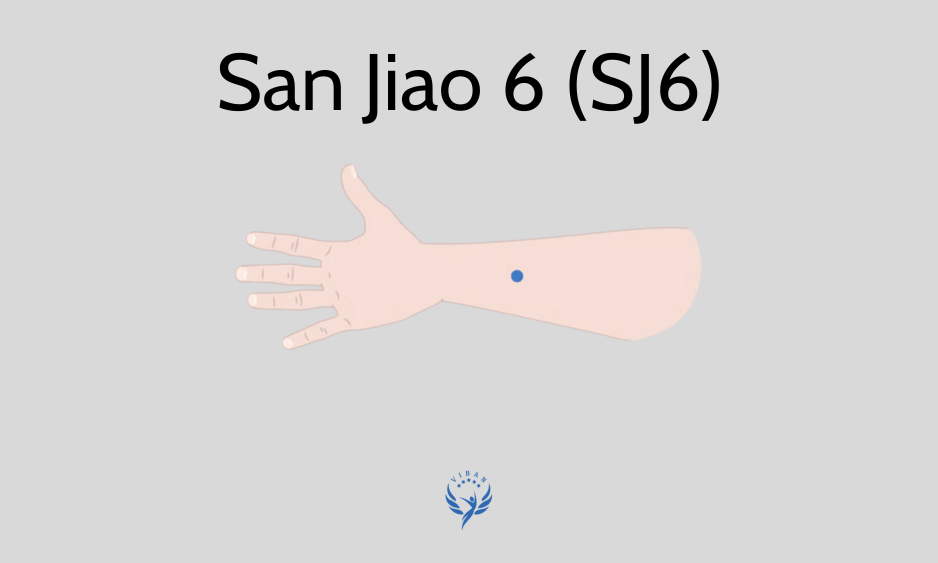 Huyệt Chi Câu