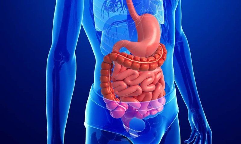 Bơi lội giúp cải thiện tiêu hoá