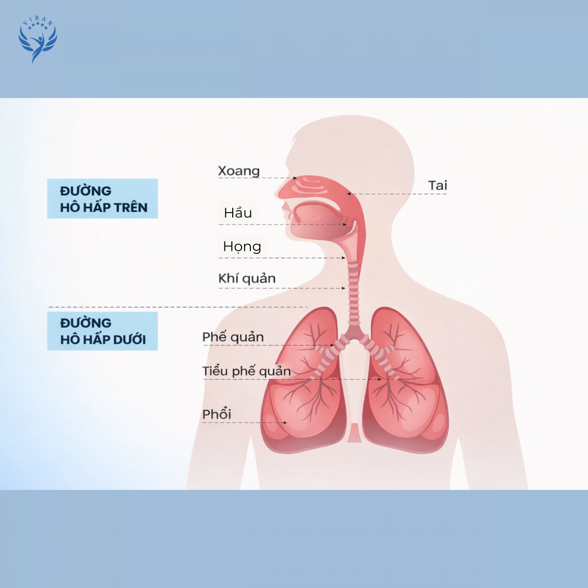 Viêm đường hô hấp trên ở trẻ em với các triệu chứng sổ mũi, ho nhẹ, đau họng